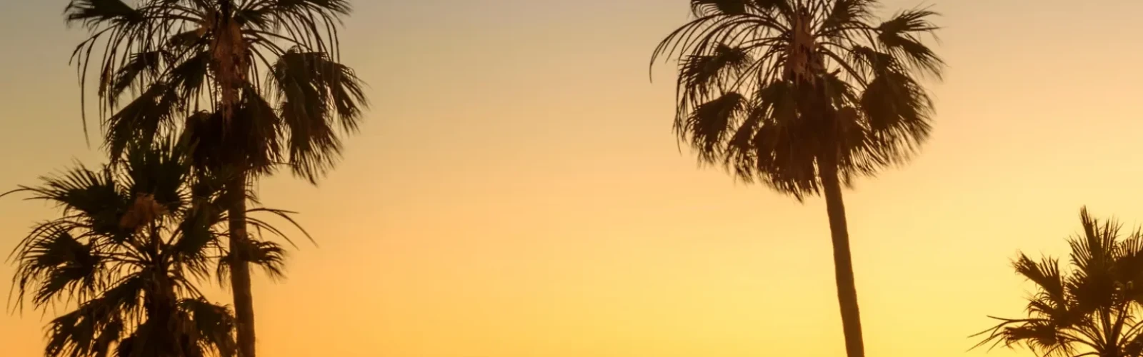 Best Hiking, Beaches & Parks in Los Angeles for Outdoor Adventures