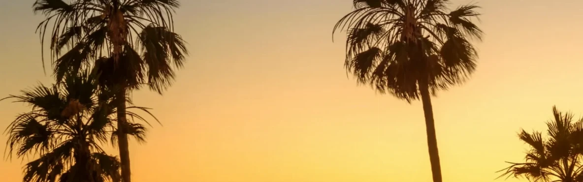 Best Hiking, Beaches & Parks in Los Angeles for Outdoor Adventures