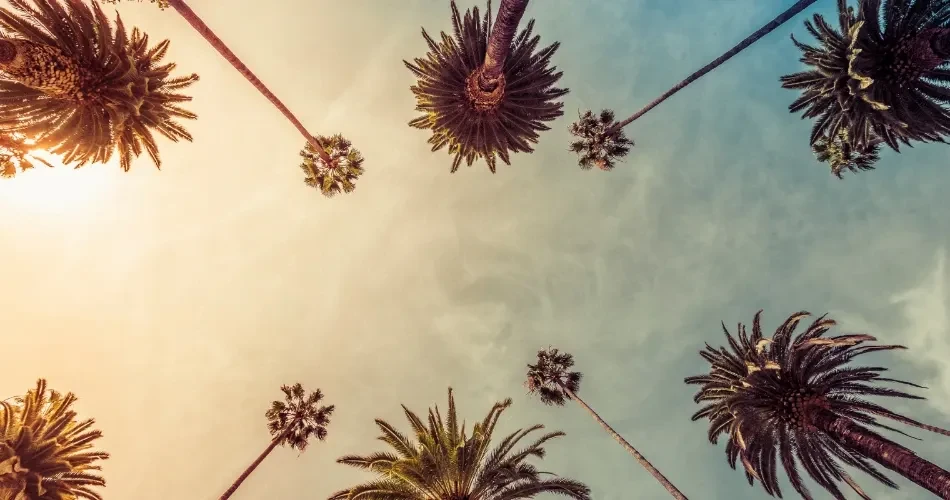 Best Places to Explore in Los Angeles: A First-Time Visitor's Guide